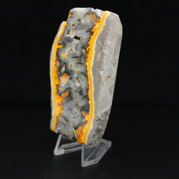 Robust slice of Indonesian Bumblebee Jasper