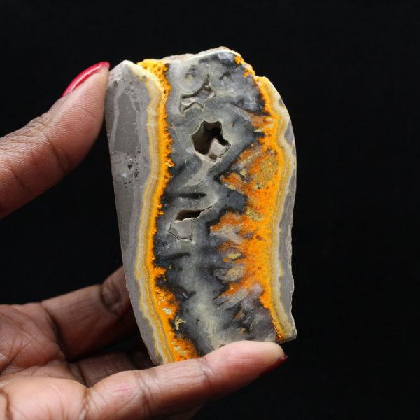 Robust slice of Indonesian Bumblebee Jasper