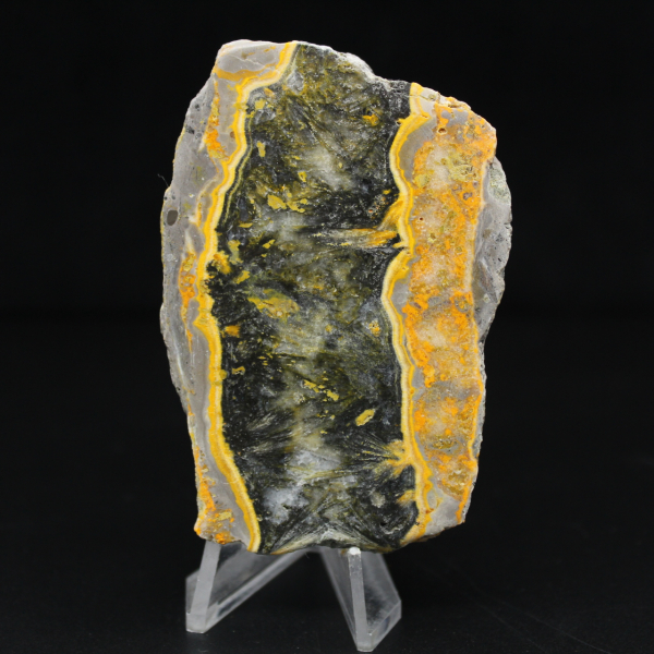 Indonesian Bumblebee Jasper: polished fragment