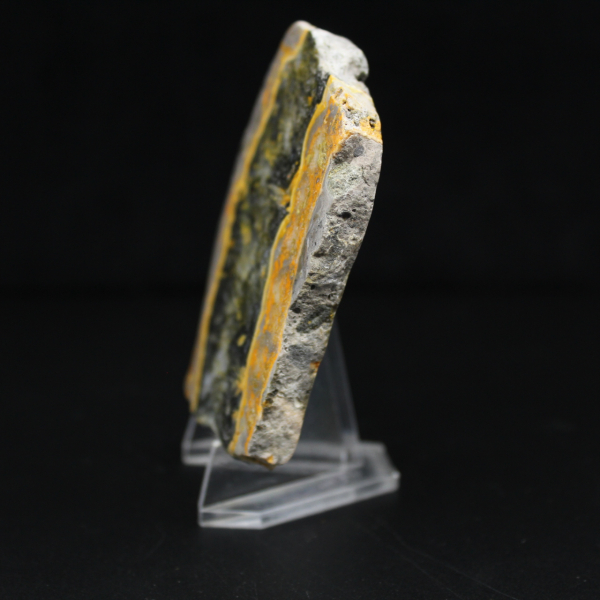 Indonesian Bumblebee Jasper: polished fragment