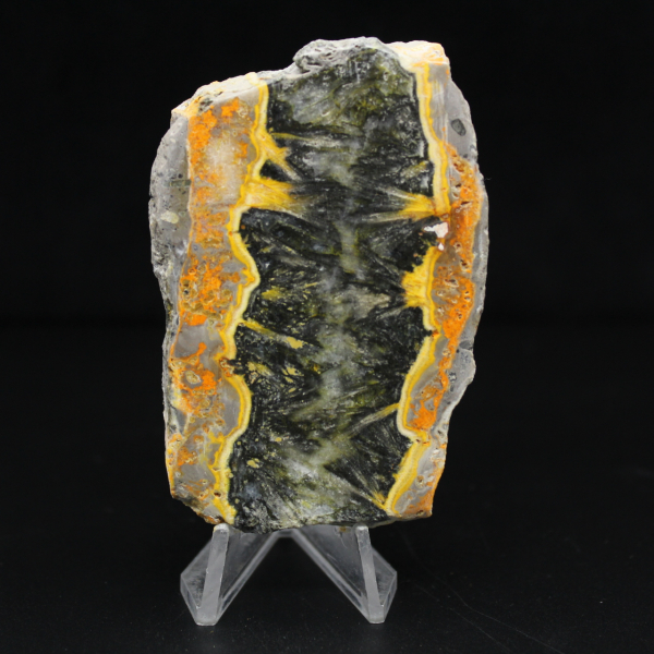 Indonesian Bumblebee Jasper: polished fragment