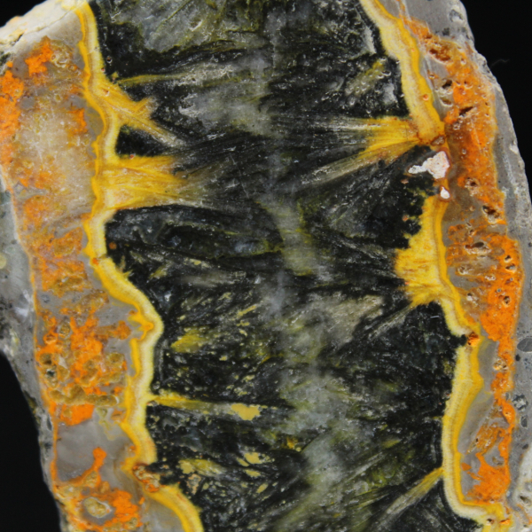 Indonesian Bumblebee Jasper: polished fragment