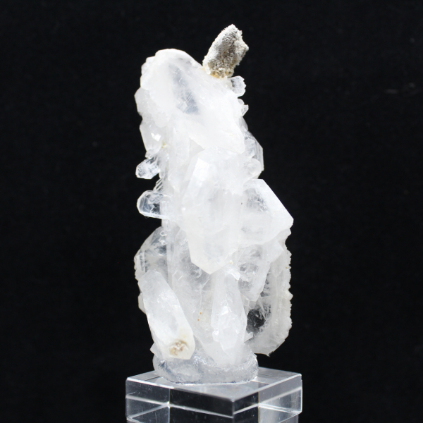 Quartz faden on base