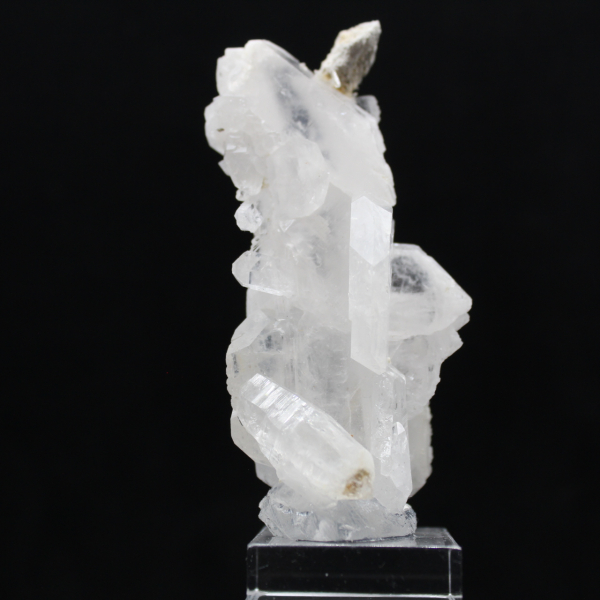 Quartz faden on base