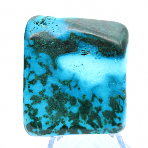 Congo chrysocolla to lay