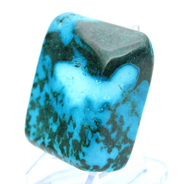 Congo chrysocolla to lay