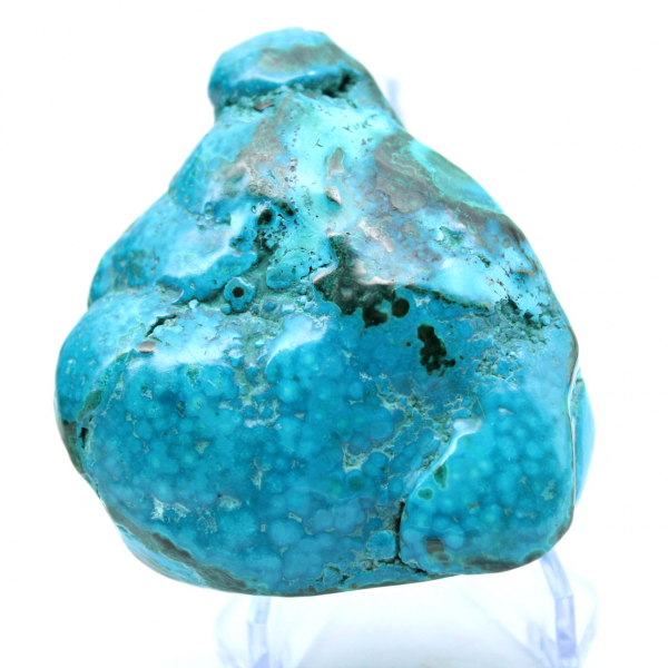 Polished chrysocolla from the Congo collection