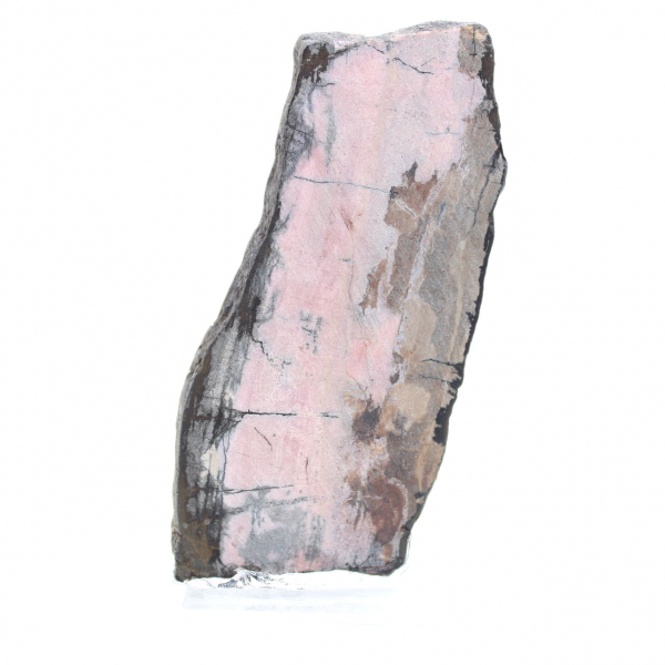 Polished Rhodonite slice quality decoration piece