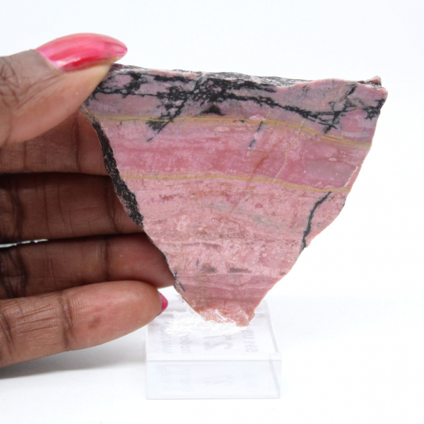Polished Rhodonite slice quality decoration piece