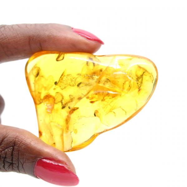 Large Yellow Amber Pebble from Lithuania – Fossil for Collection