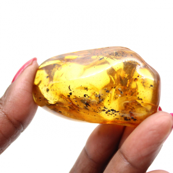 Yellow Amber Pebble for Decoration and Scientific Specimen