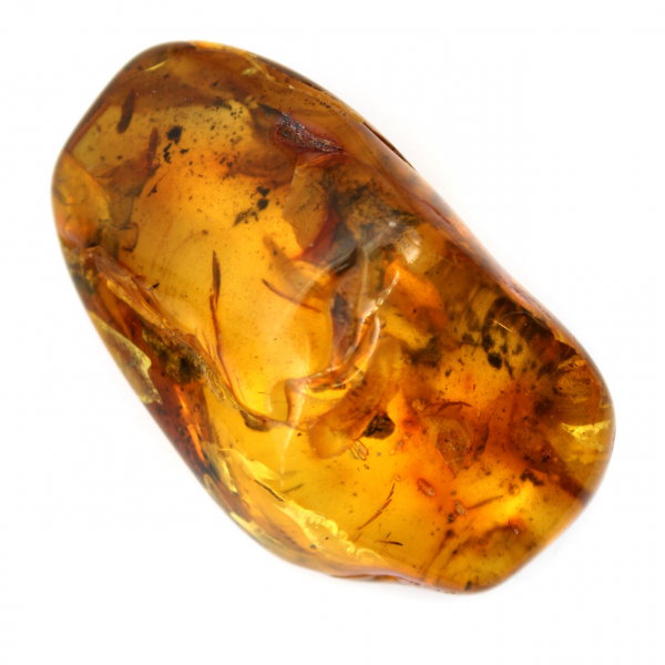 Yellow Amber Pebble for Decoration and Scientific Specimen
