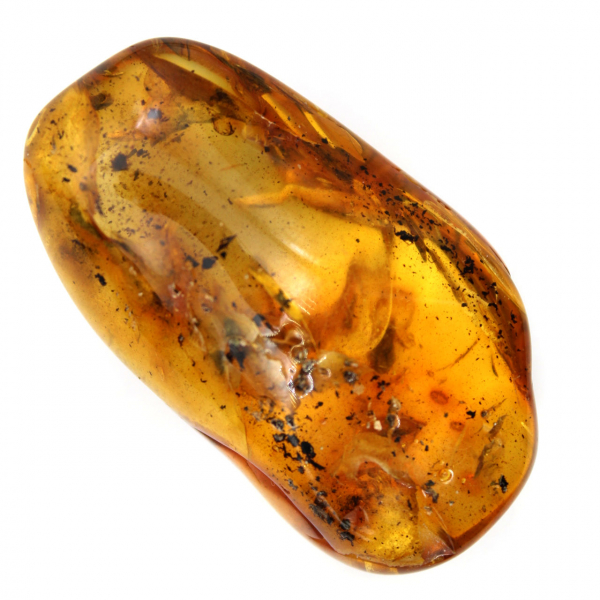Yellow Amber Pebble for Decoration and Scientific Specimen