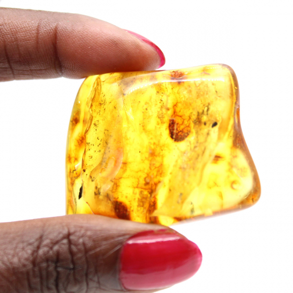 Baltic Amber Fossil Resin – Pebble for enthusiasts