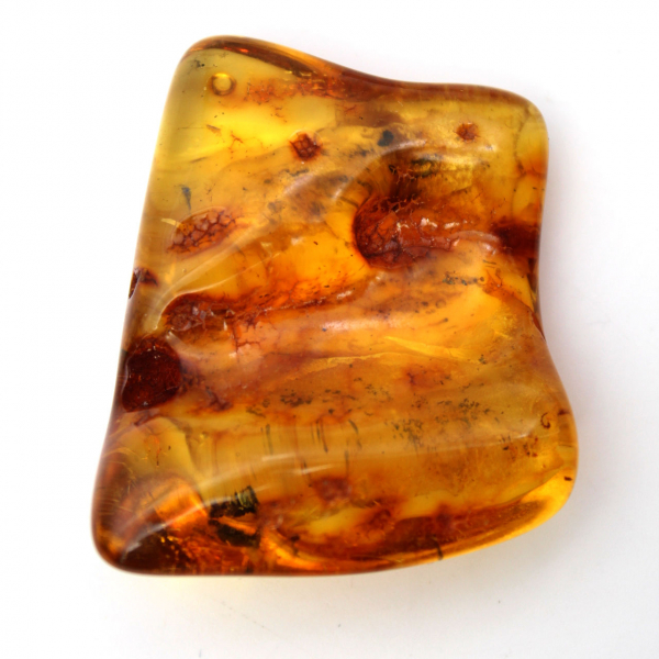 Baltic Amber Fossil Resin – Pebble for enthusiasts