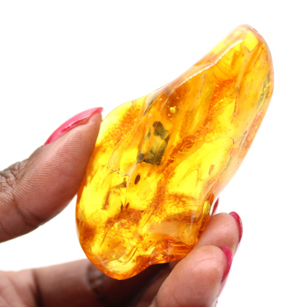 Baltic Amber Pebble – Lithuanian Collection Specimen
