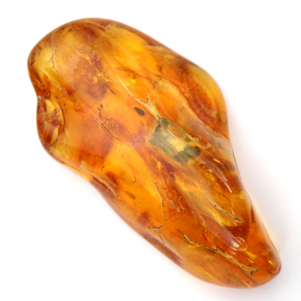 Baltic Amber Pebble – Lithuanian Collection Specimen