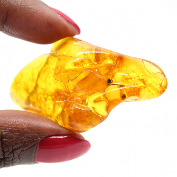 Yellow Amber Pebble, Natural Stone from Lithuania