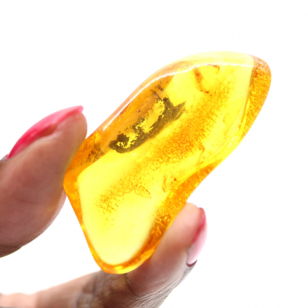 Fossil Yellow Amber from the Baltic – Authentic Pebble