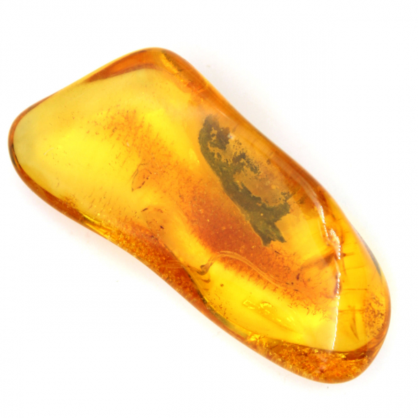 Fossil Yellow Amber from the Baltic – Authentic Pebble