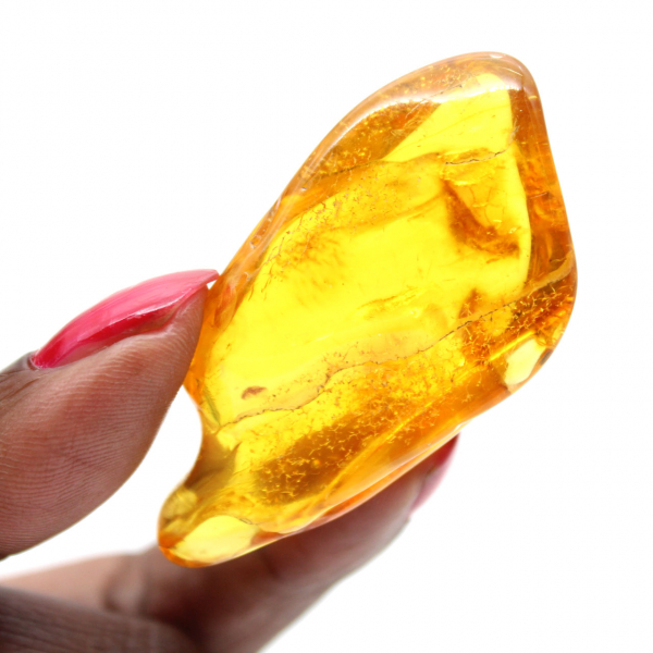 Yellow amber pebble from Lithuania for fossil collection