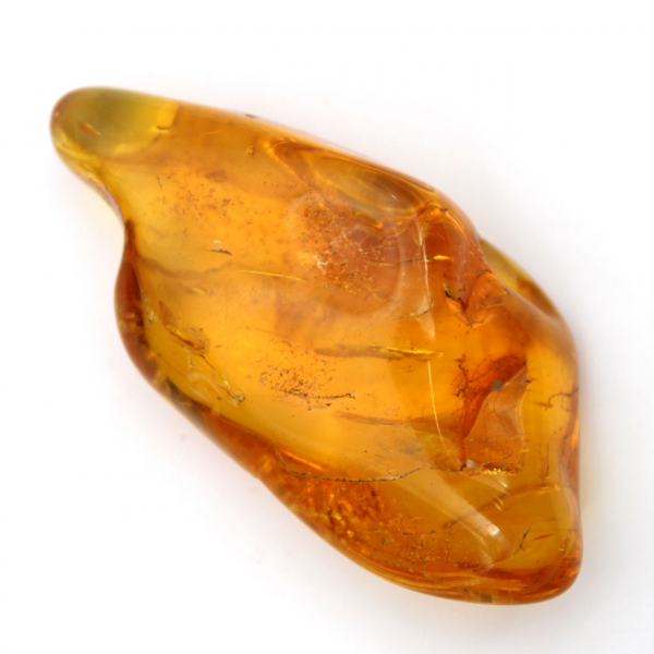 Yellow amber pebble from Lithuania for fossil collection