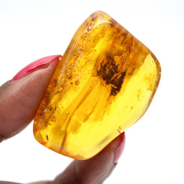 Baltic Amber – Mineralogy Pebble Item