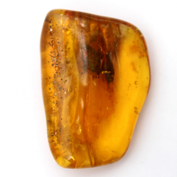 Baltic Amber – Mineralogy Pebble Item