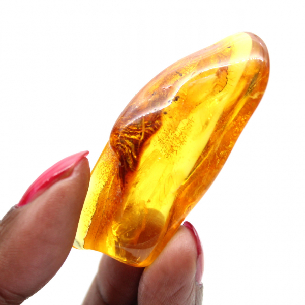 Polished Yellow Amber Pebble – Collector’s Specimen Lithuania