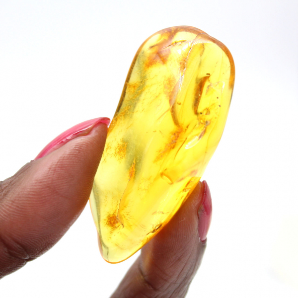 Yellow Amber from Lithuania – Natural Pebble, Collection Specimen