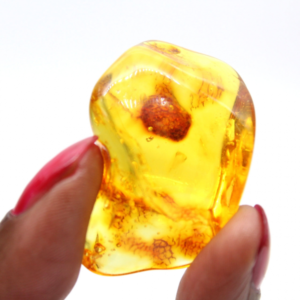 Small Yellow Amber Pebble – Fossil Collectible