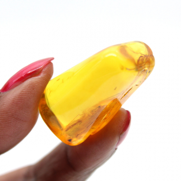 Mini Baltic Yellow Amber Pebble – Fossil for Decoration