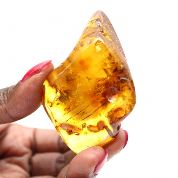 Polished Baltic Amber Pebble - Natural Collection Stone