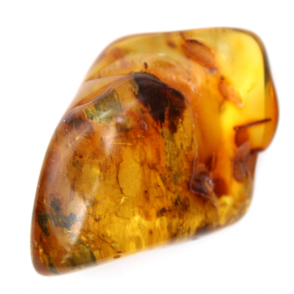 Polished Baltic Amber Pebble - Natural Collection Stone