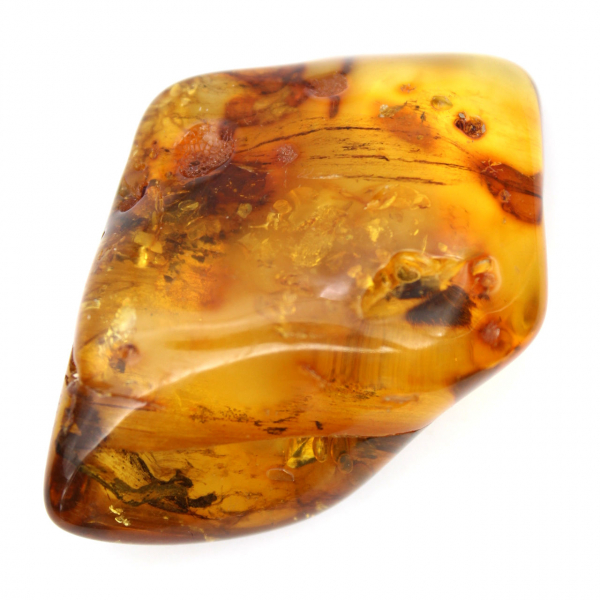 Polished Baltic Amber Pebble - Natural Collection Stone
