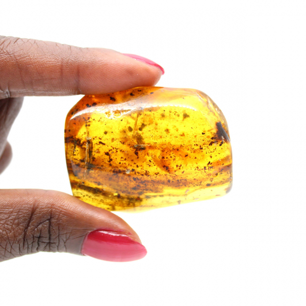 Natural Polished Baltic Amber Pebble - Decorative Piece