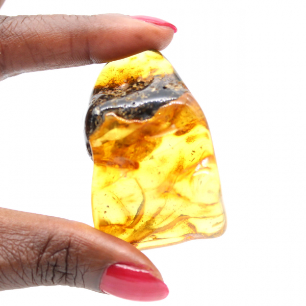 Authentic Polished Amber Pebble from Lithuania - Mineralogy Specimen