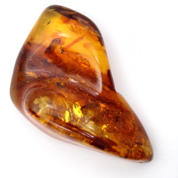 Polished Baltic Amber: Collector's Pebble Specimen