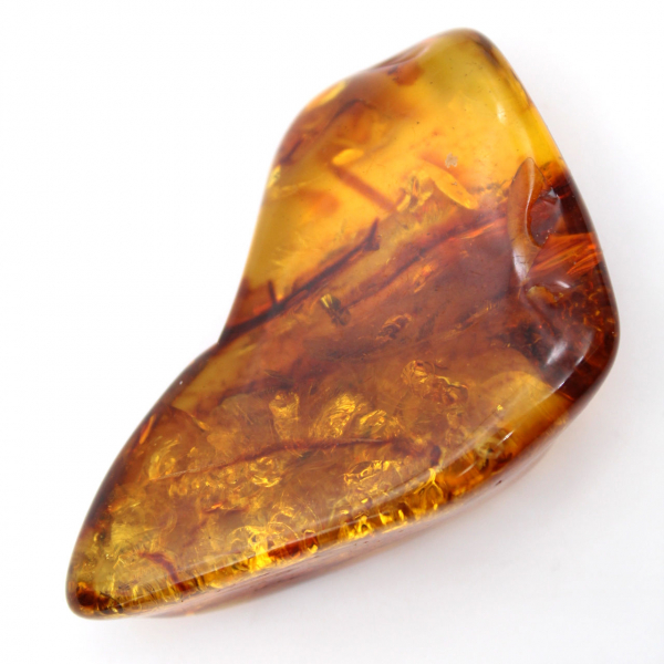 Polished Baltic Amber: Collector's Pebble Specimen