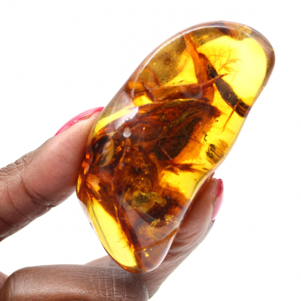 Polished raw Baltic amber pebble for collecting and decoration