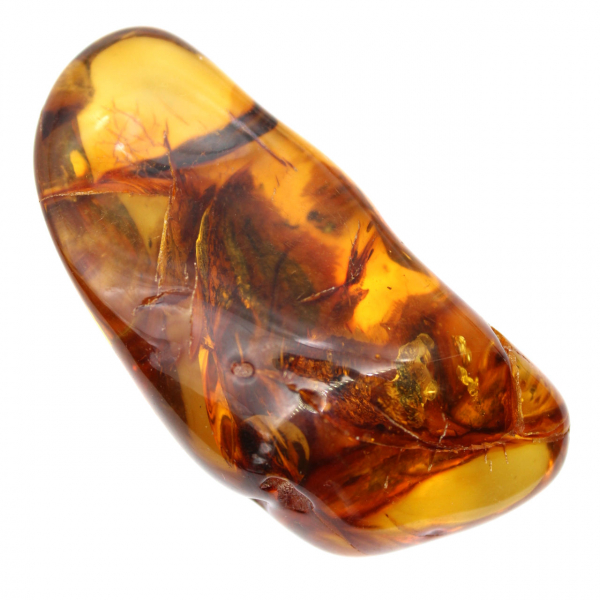 Polished raw Baltic amber pebble for collecting and decoration