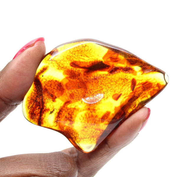 Polished Lithuanian Amber: Pebble for Fossil Collection
