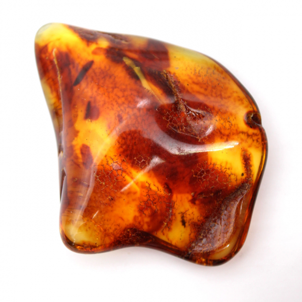 Polished Lithuanian Amber: Pebble for Fossil Collection