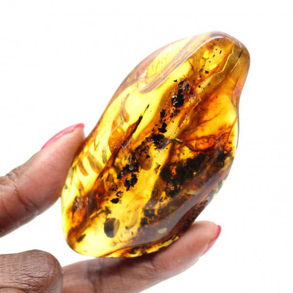 Lithuanian Amber: Natural Pebble for Mineralogical Specimen