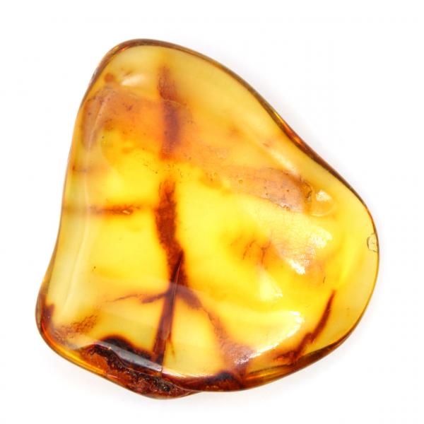 Small Polished Lithuanian Amber Pebble - Authenticity and Science