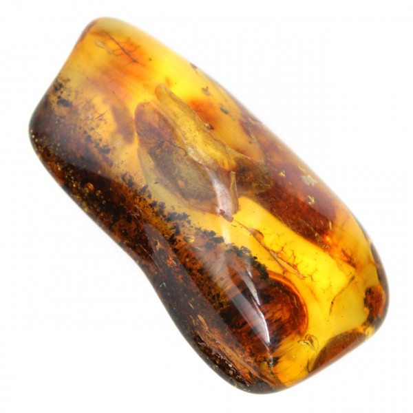 Small Polished Amber Pebble from Lithuania - Mineralogical Collection