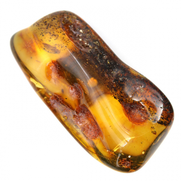 Small Polished Amber Pebble from Lithuania - Mineralogical Collection