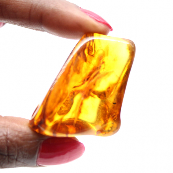 Lithuanian Amber: Small Polished Pebble for Fossil Enthusiasts