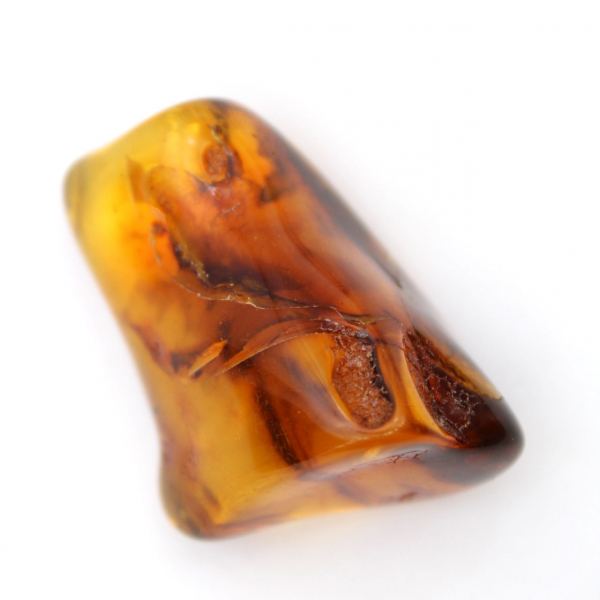 Lithuanian Amber: Small Polished Pebble for Fossil Enthusiasts