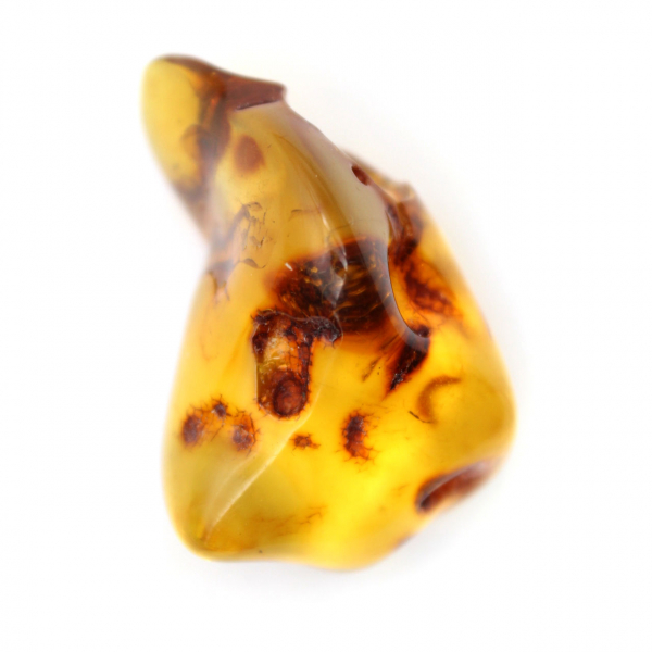 Polished Lithuanian Amber Pebble - Natural Beauty and Collection
